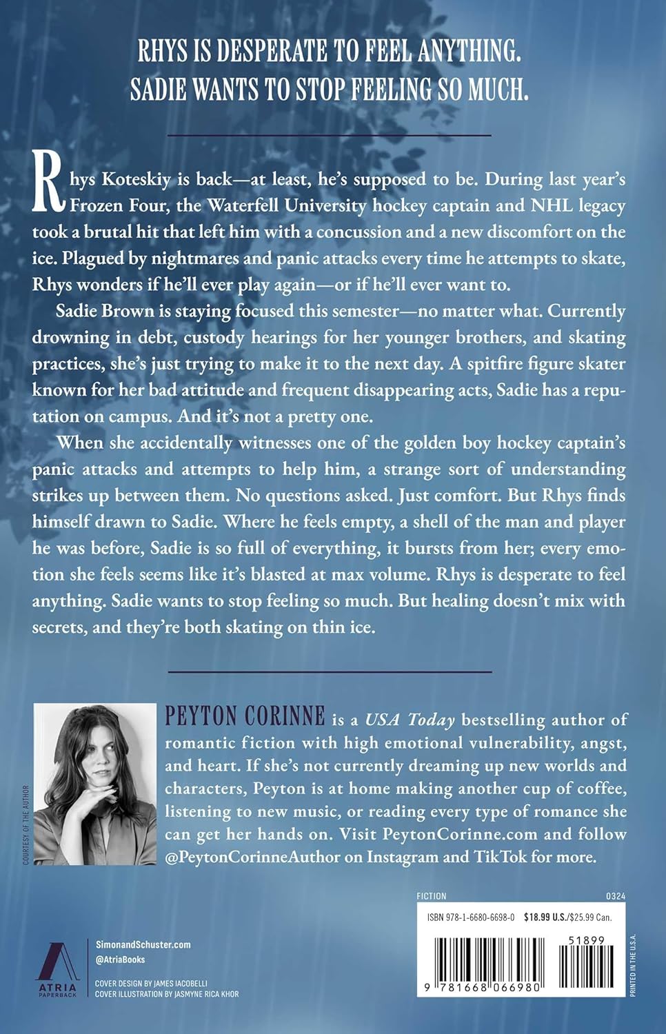 Book back cover with text and author information