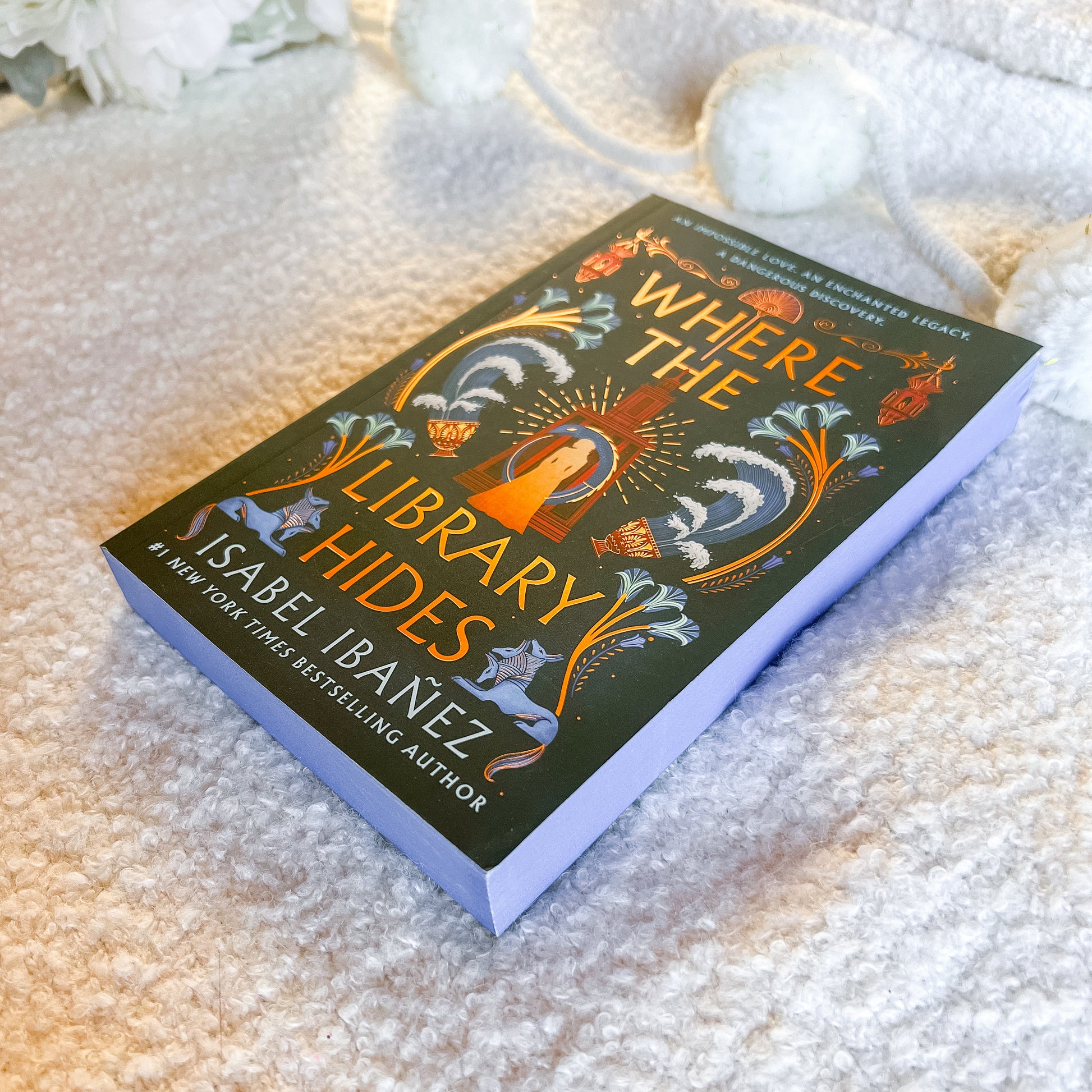 Book titled 'Where the Library Hides' by Isabel Ibanez on a textured surface