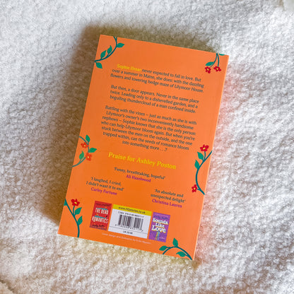 Back cover of a book with text and decorative elements on a textured surface
