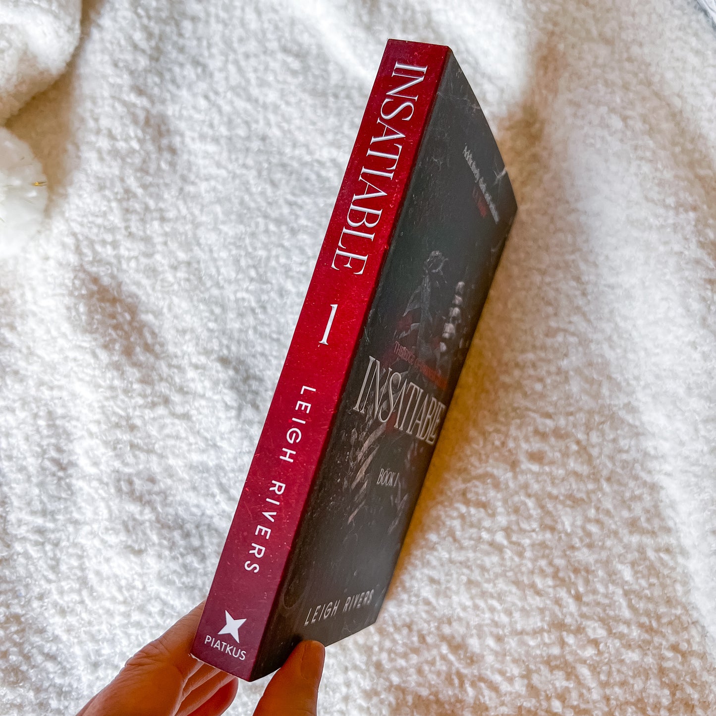 Book titled 'Insatiable' by Leigh Rivers held against a textured white background