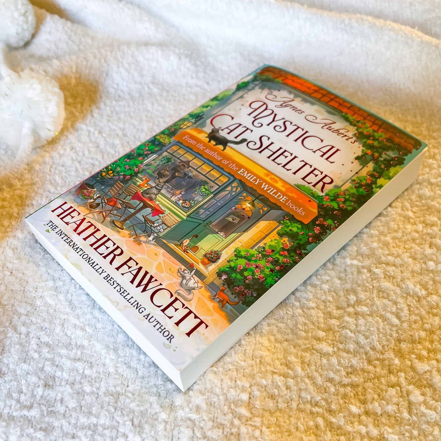 Book titled 'Mystical Cat Shelter' by Agnes Aubert and Heather Fawcett on a white background