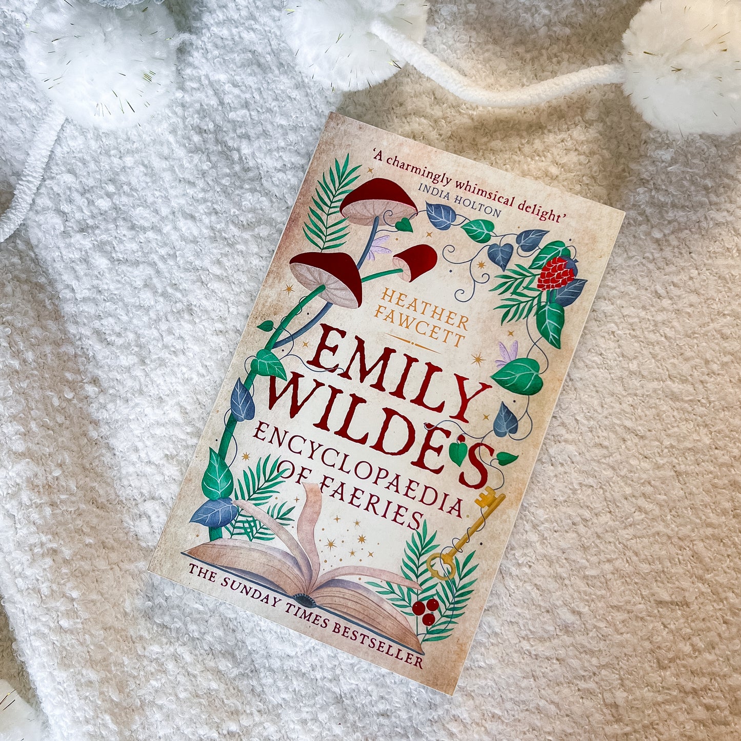 Book titled 'Emily Wildes' Encyclopaedia of Faeries' on a textured surface