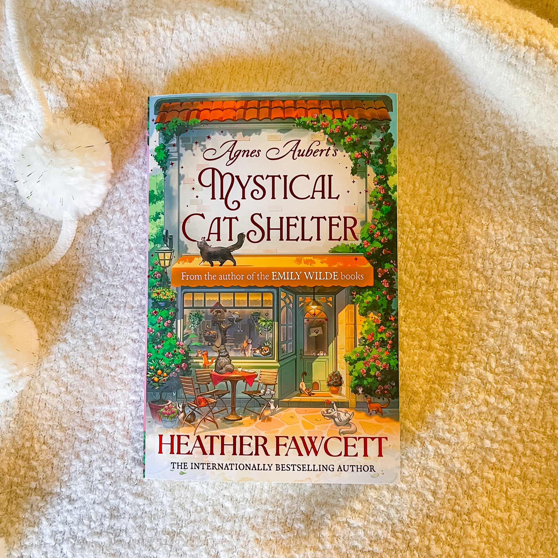 Book titled 'Mystical Cat Shelter' by Agnes Aubert and Heather Fawcett on a white background