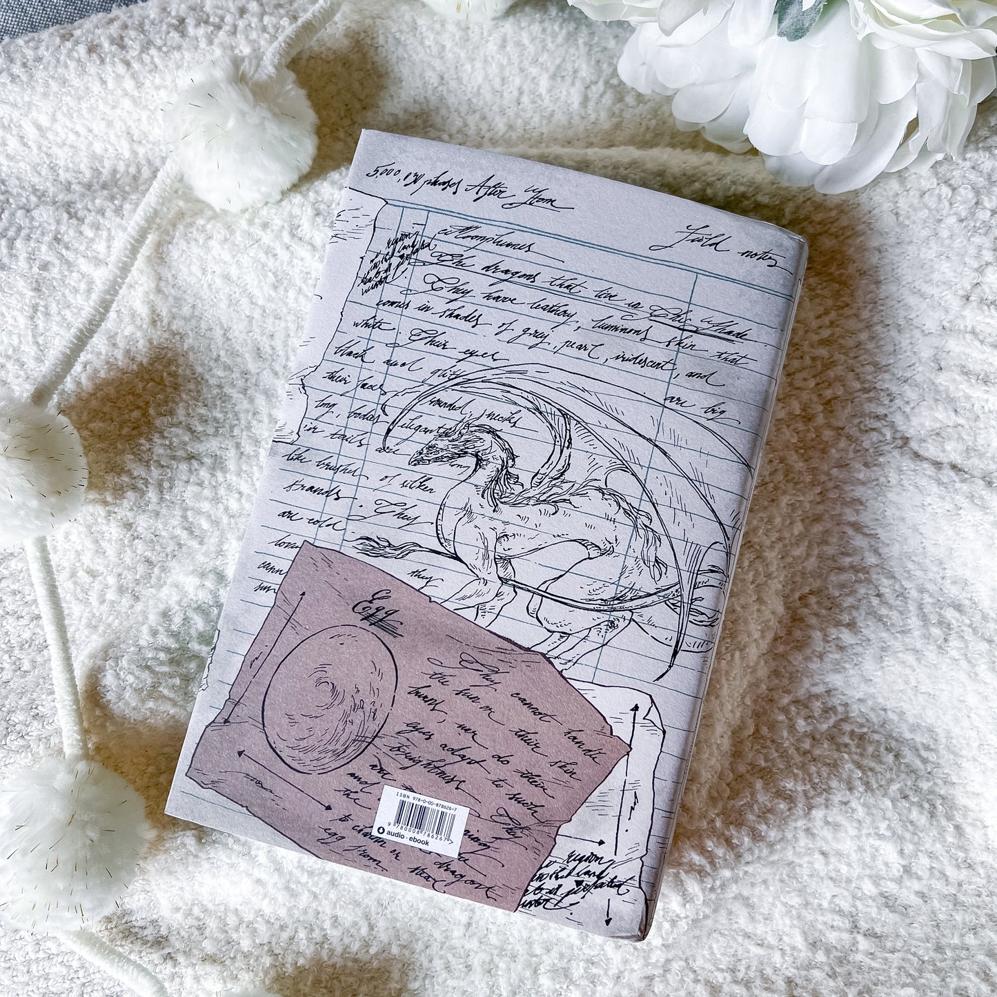 Book with dragon illustration on a soft surface
