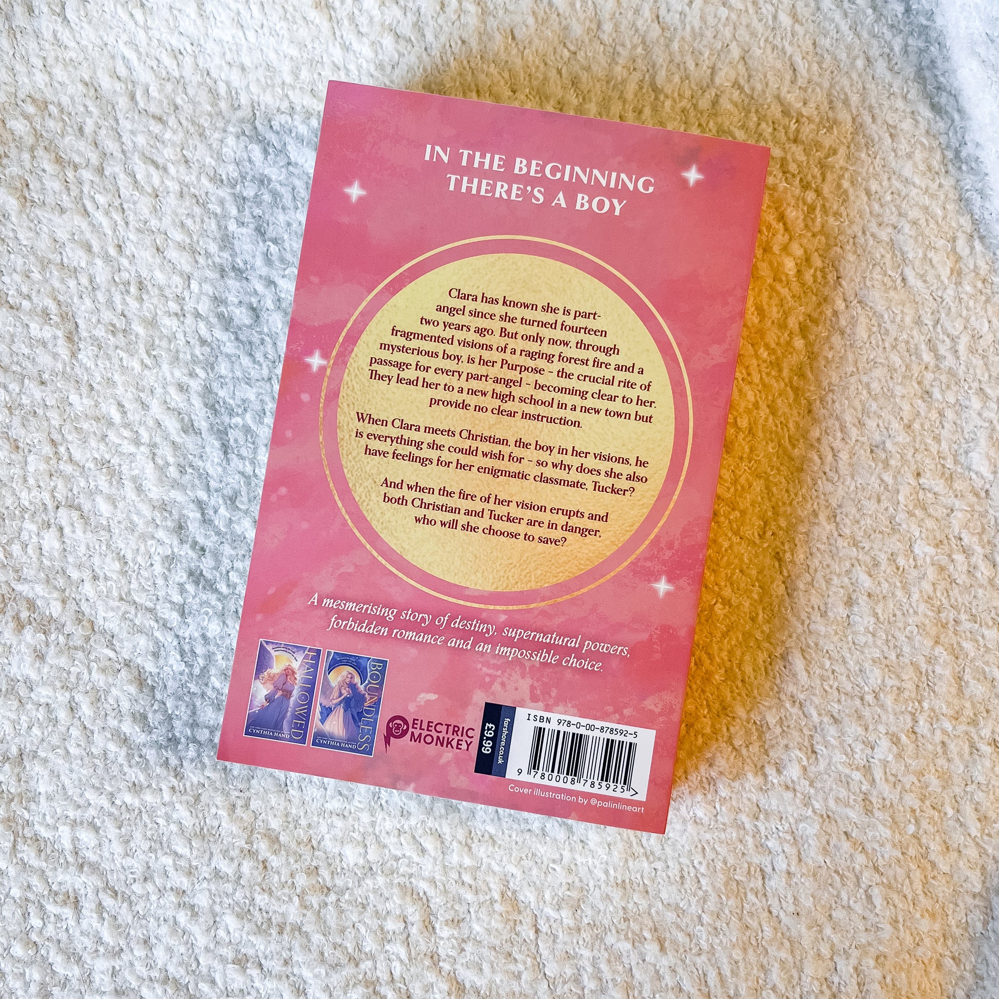 Book cover with text on a textured surface