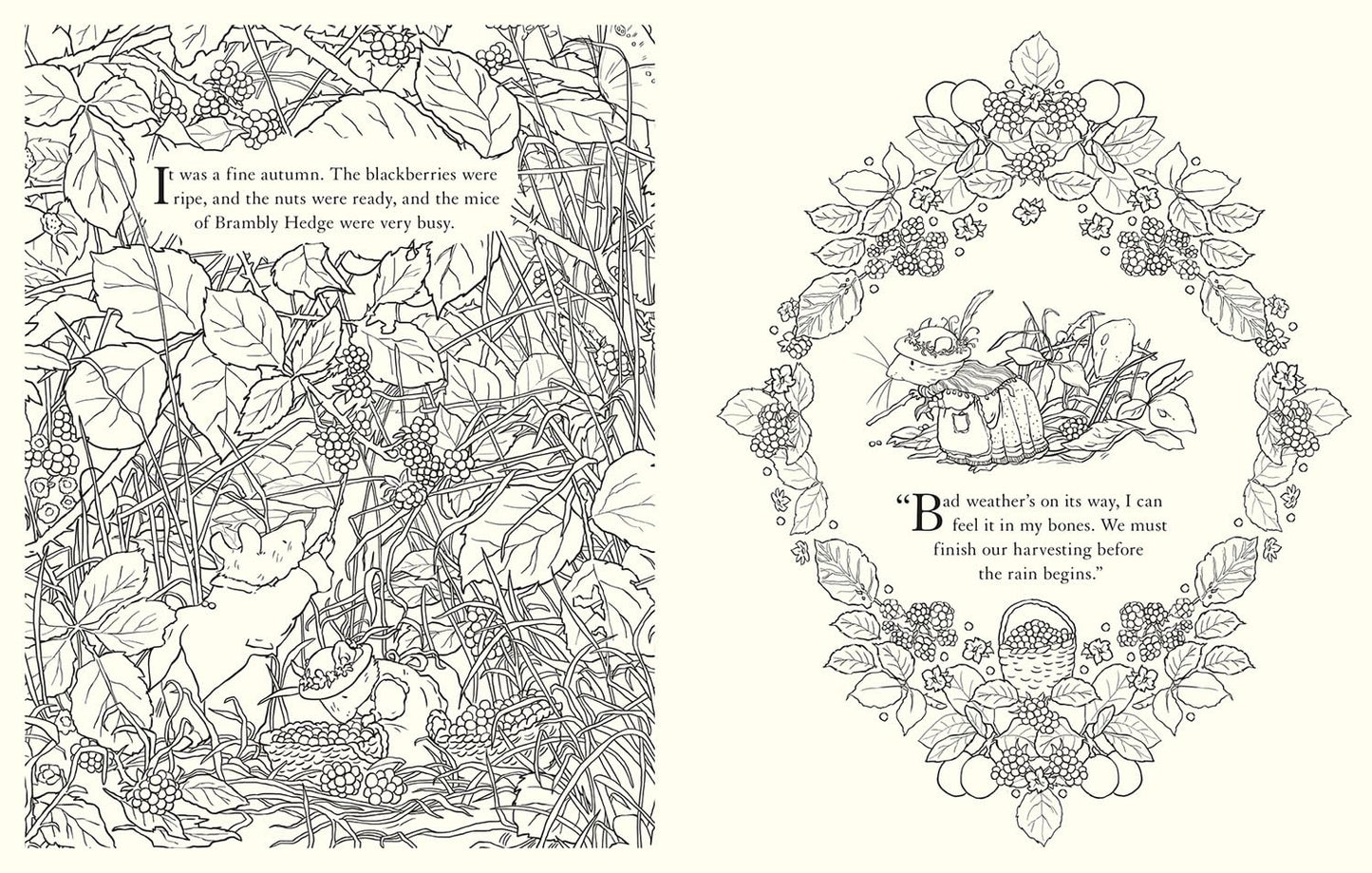 Brambly Hedge: Festive Coloring Book by Jill Barklem