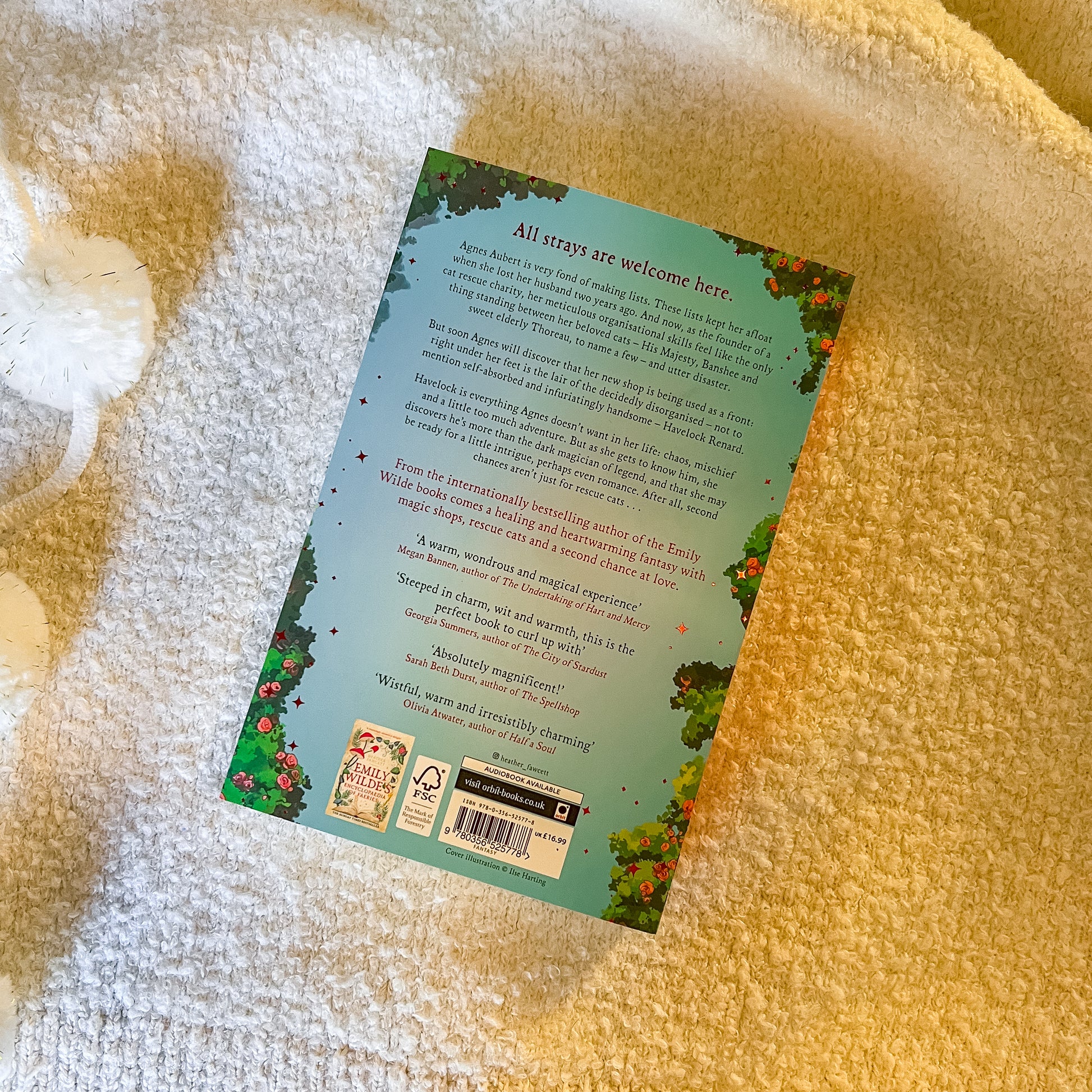 The back of  Heather Fawcett's book on a white background