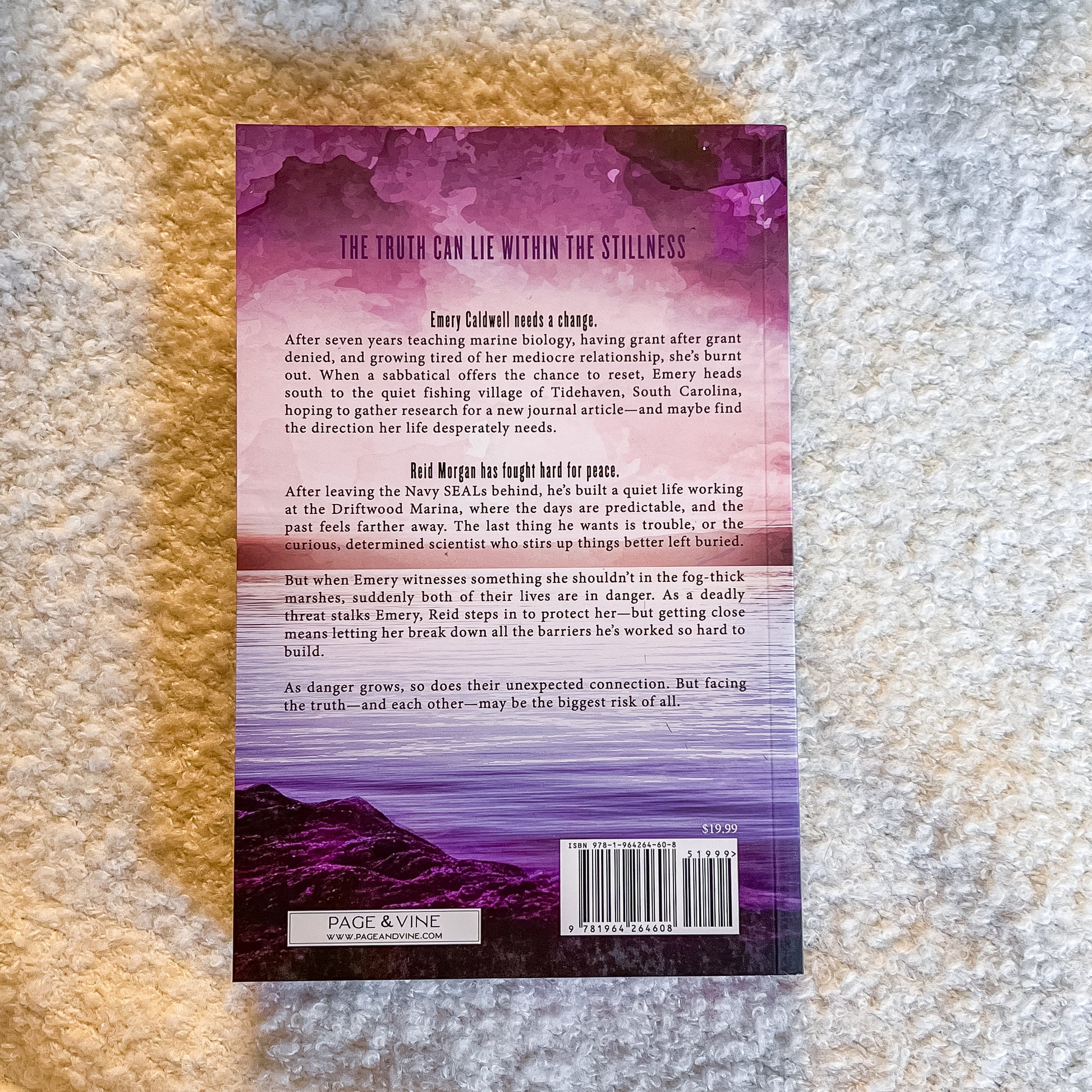 Book back cover with text and a mountain scene on a textured surface