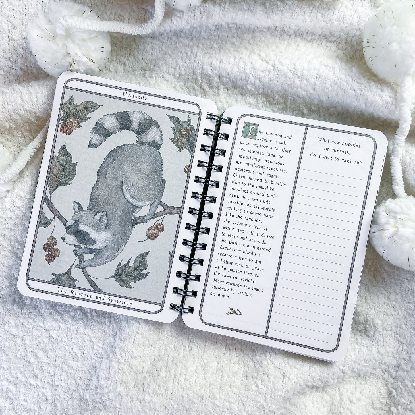 An open spiral-bound journal or notebook laid on soft white knit fabric. The left page shows an illustrated card titled 'Cats and Mice' with a raccoon on a branch, and the right page has text prompts for reflection and writing.