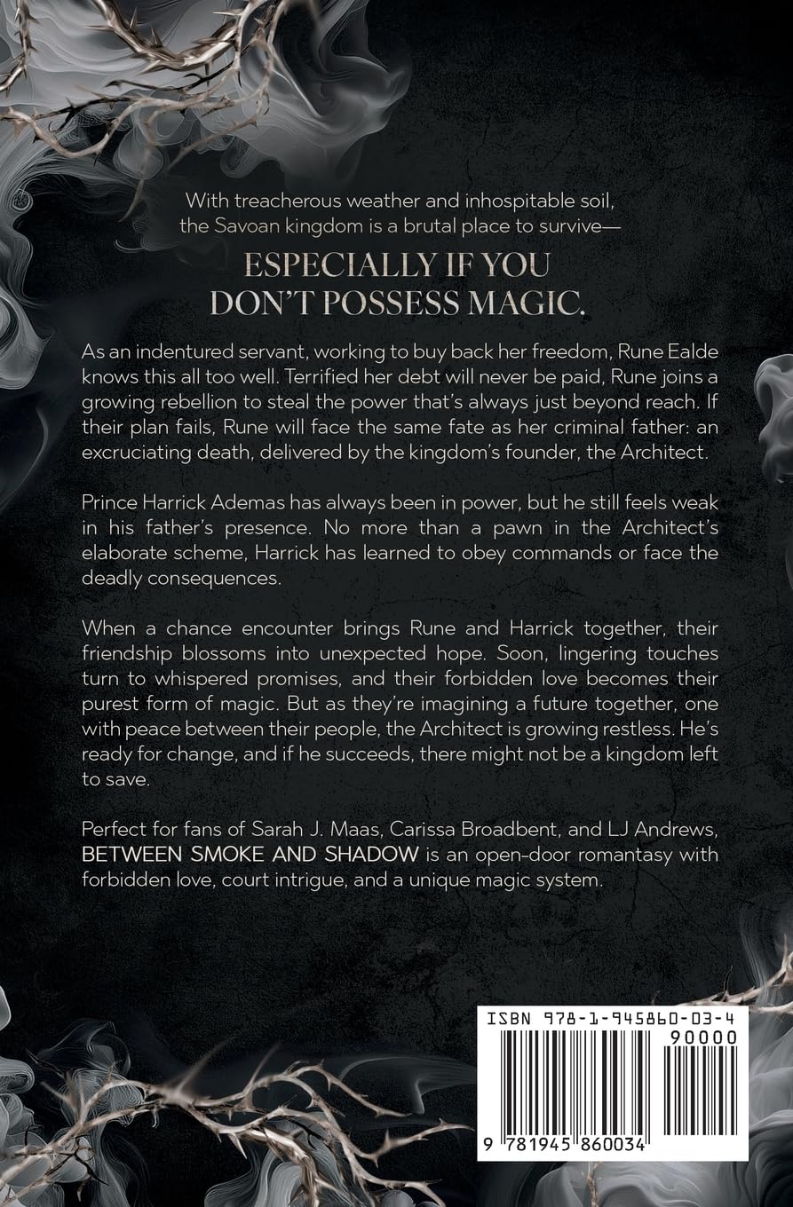 Back of The book "between smoke and shadow" by bree wilde with a smoky black design