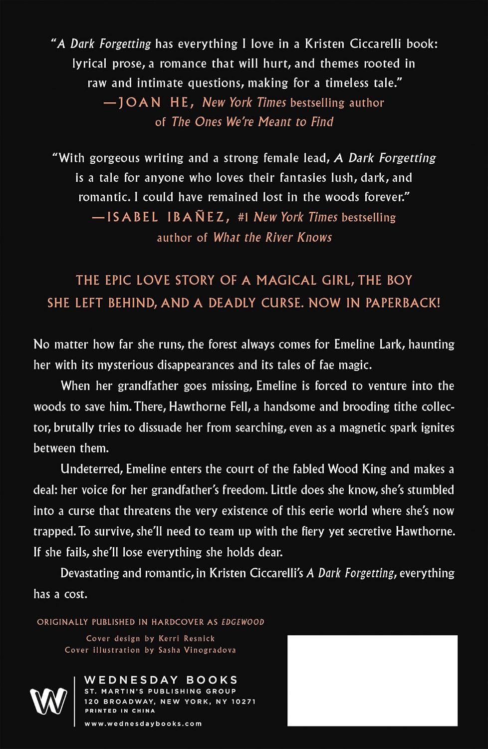 Back cover of the paperback book 'A Dark Forgetting' by Kristen Ciocciarello, featuring white and gold text on a black background with critical reviews and publisher details for Wednesday Books.