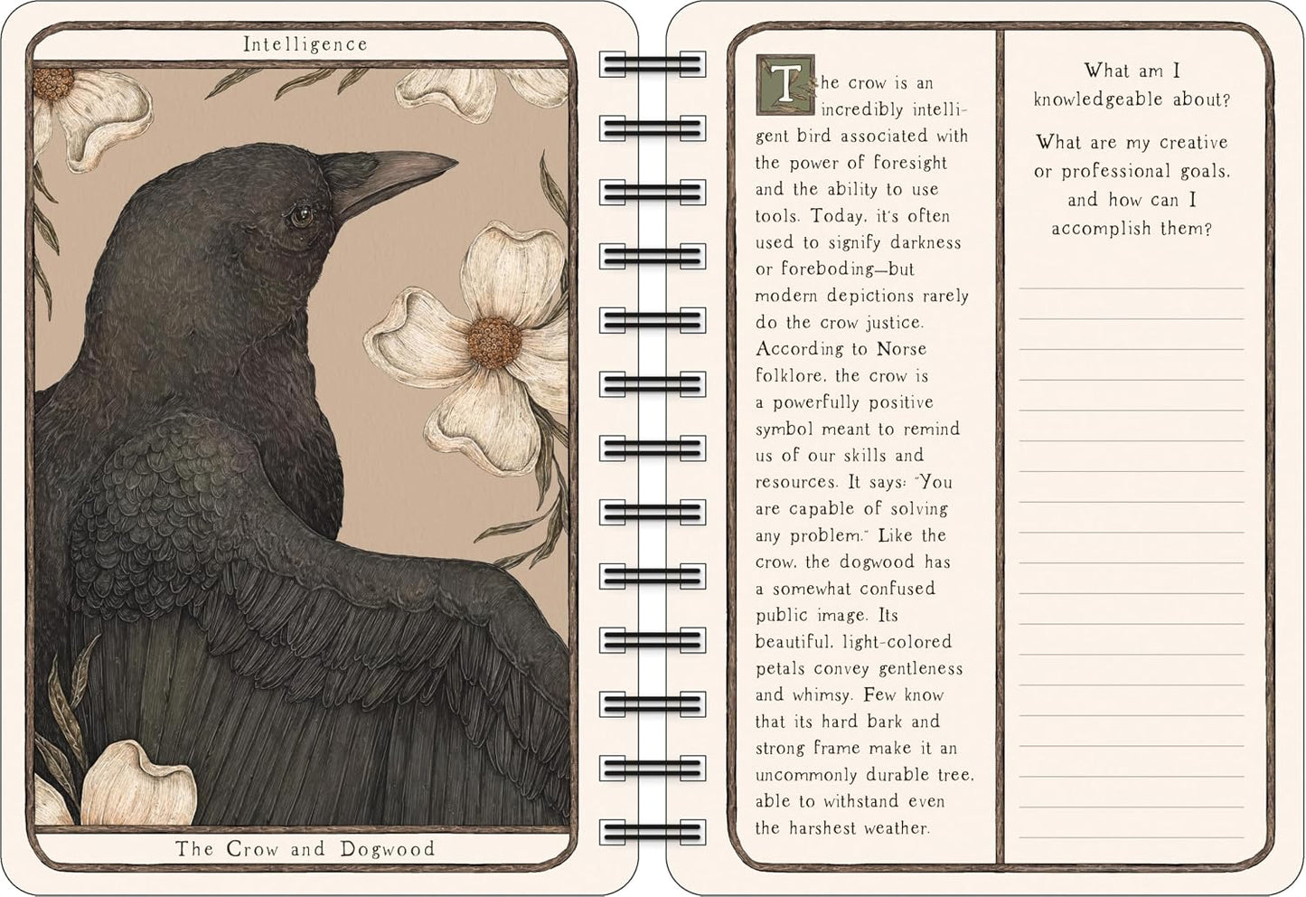 Open book with a crow illustration and text on a beige background