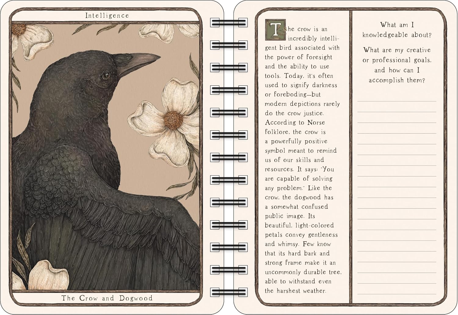 Open book with a crow illustration and text on a beige background